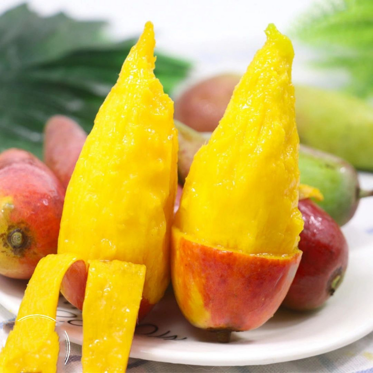 网红水果-辣椒芒 辣椒芒果为漆树科植物芒果的成熟果实,原产于热带