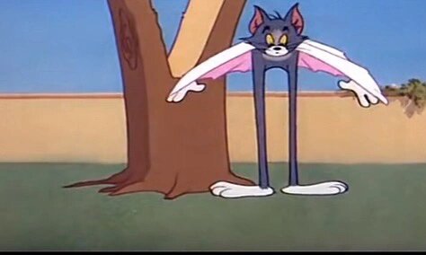 汤姆猫劈树秒变大长腿哈哈  下班回家的路上看到了被汤姆劈开的大树