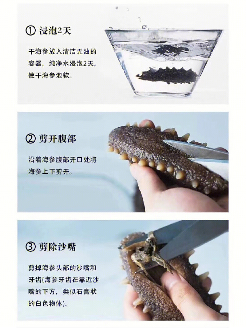 干海参的泡发方法,专业步骤,值得收藏.