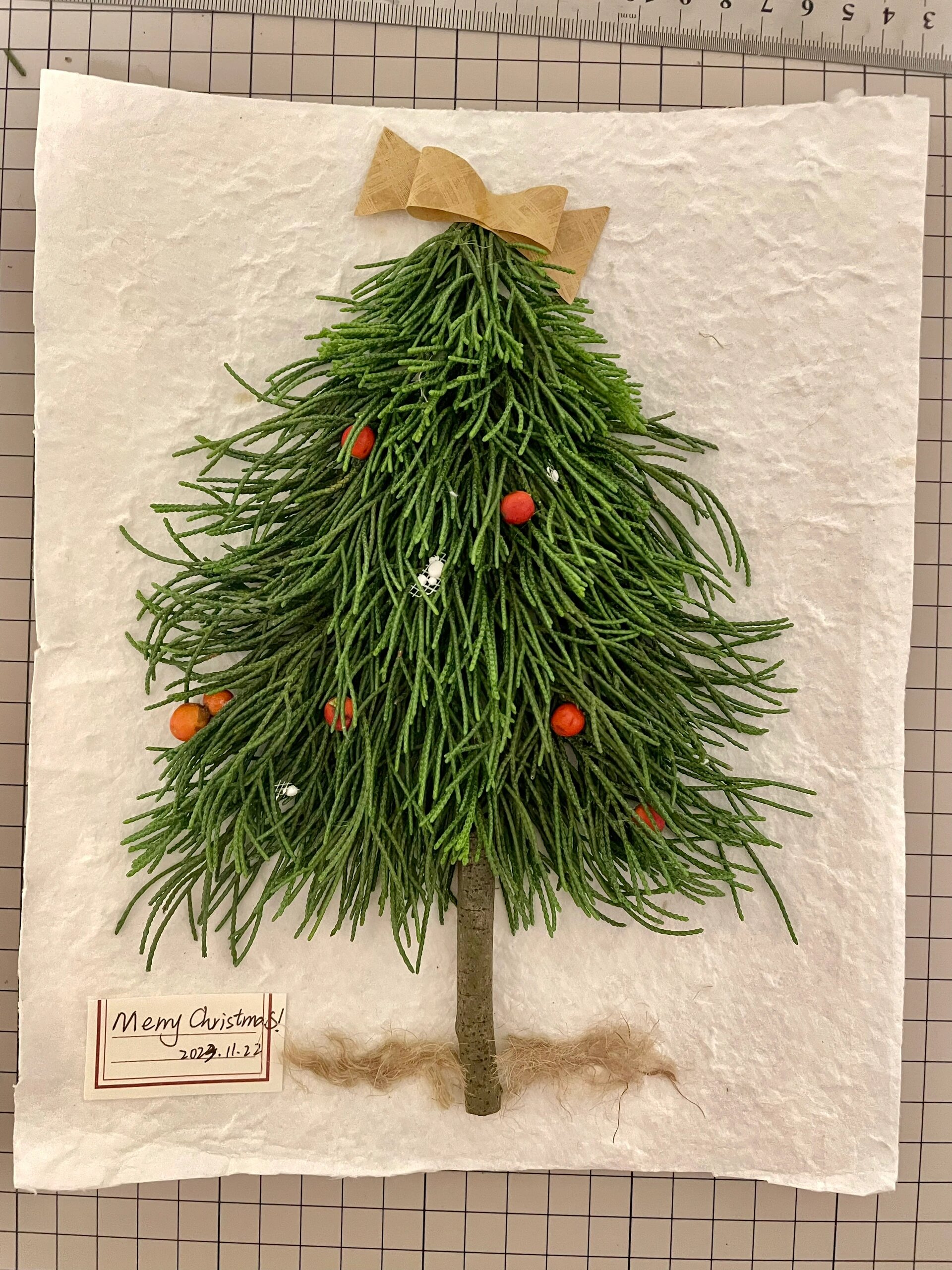 用柏树叶做了一棵圣诞树