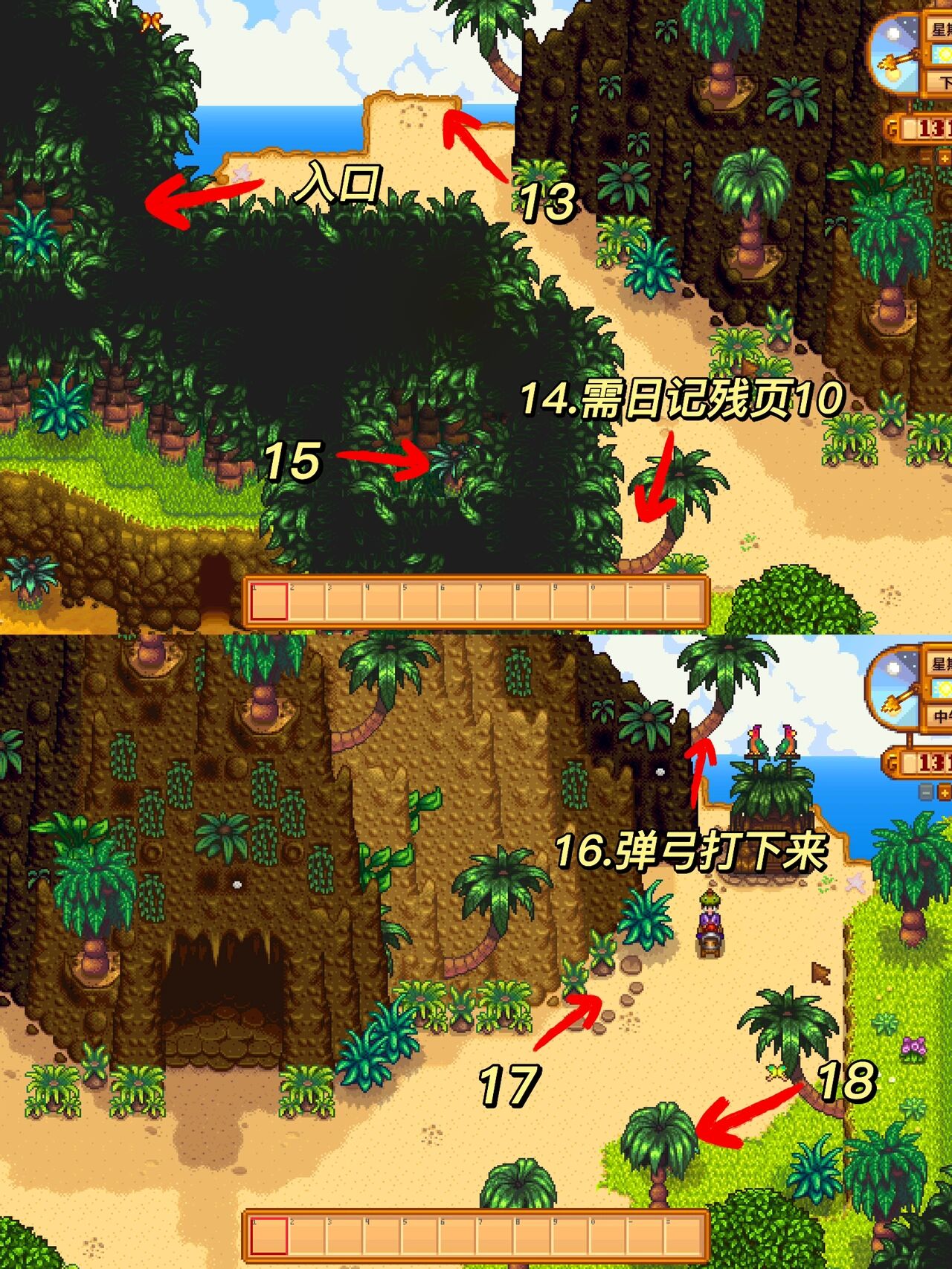 星露谷物语 姜岛金核桃全位置 一篇全搞定17 07解谜类 岛右(雷欧