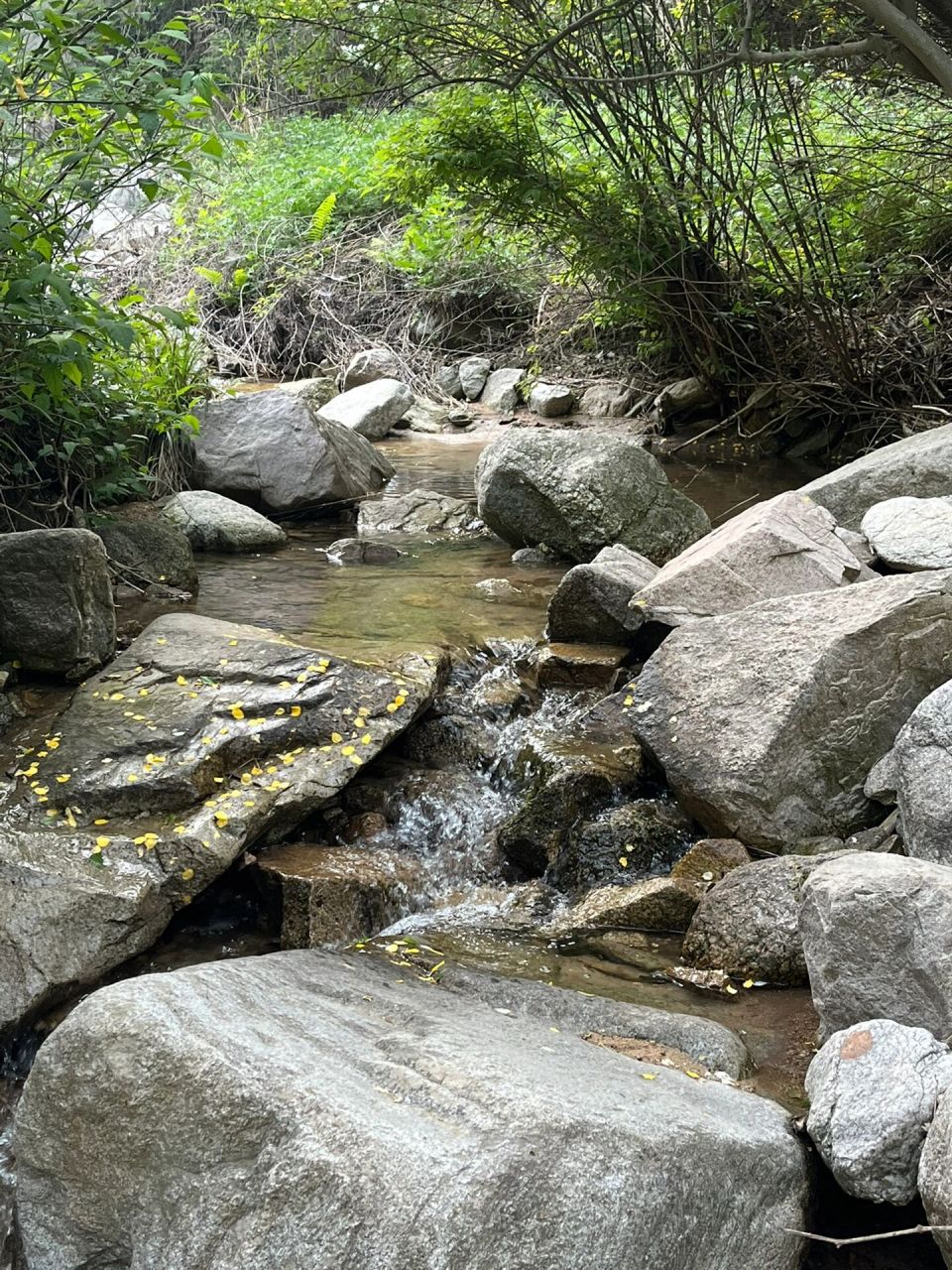西安五一假期没人踏足的小众景点—抱龙峪 抱龙峪瀑布游玩关键166