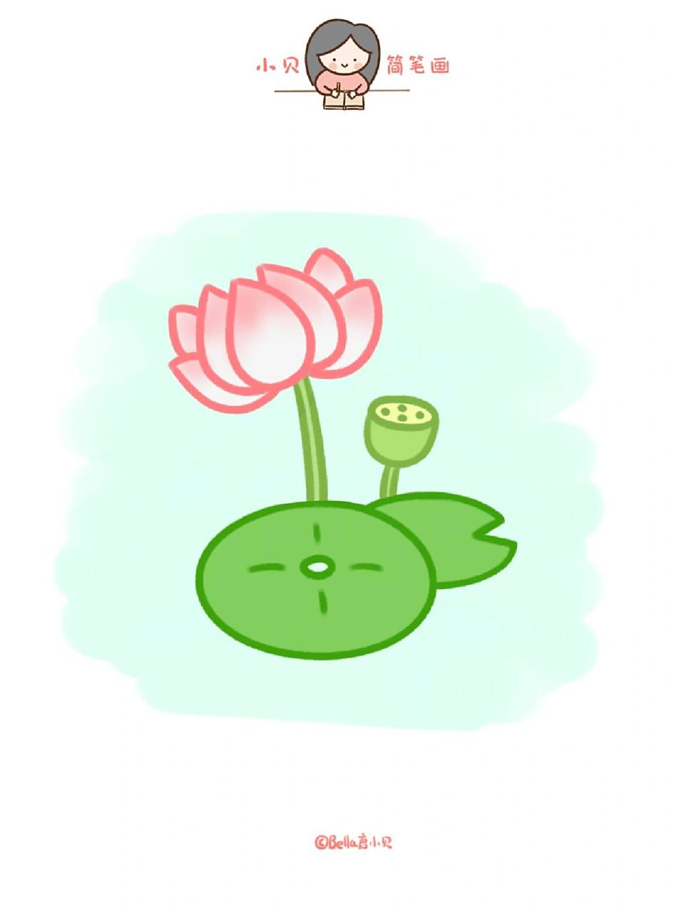 小贝简笔画-莲花 描边颜色荷花:粉红色荷花茎莲蓬:浅绿荷叶:深绿.