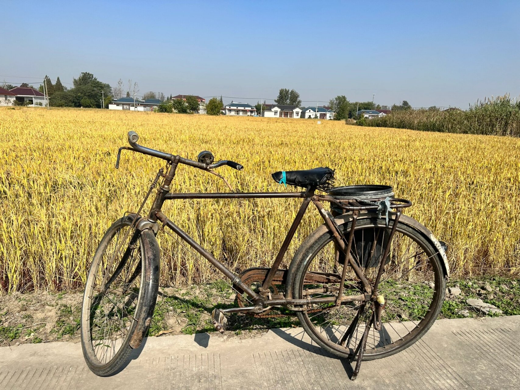 二八大杠 82年的二八大杠