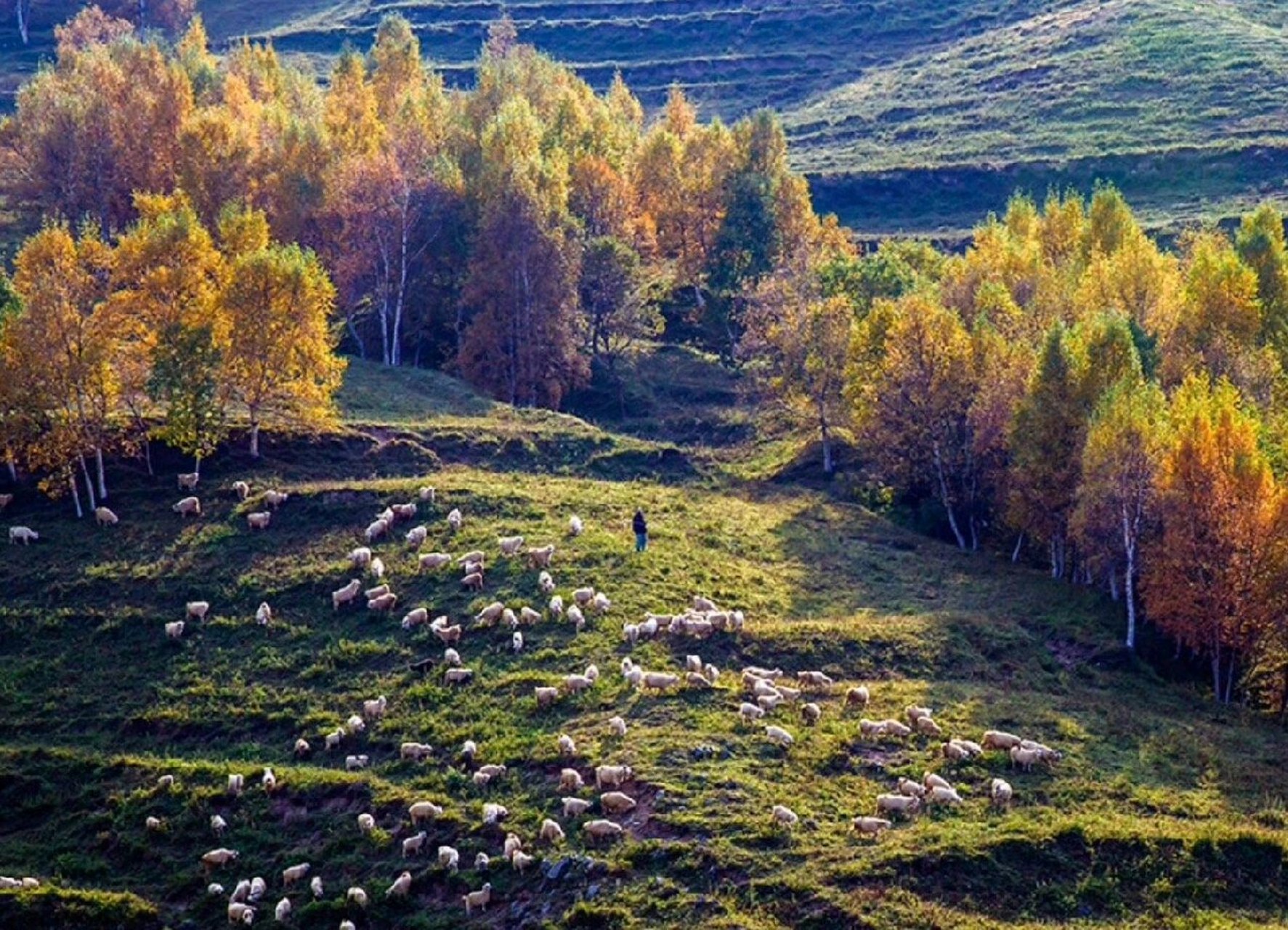 【涿鹿61东灵山】 东灵山生态旅游区位于涿鹿县城东南50公里