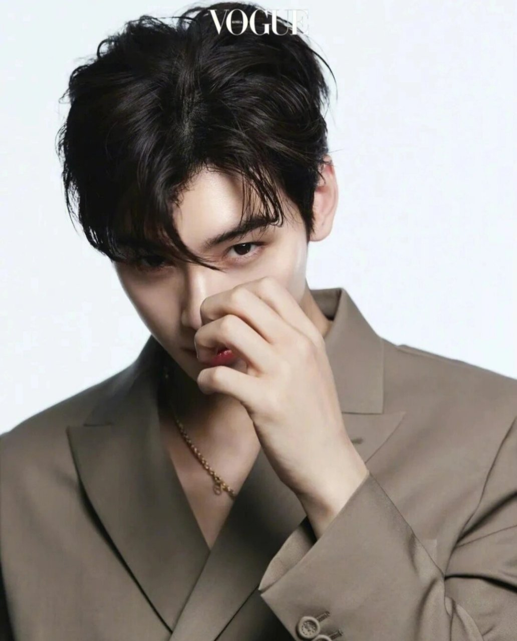 理想的样子就是车银优 还有很霸道总裁的男明星or女明星吗?