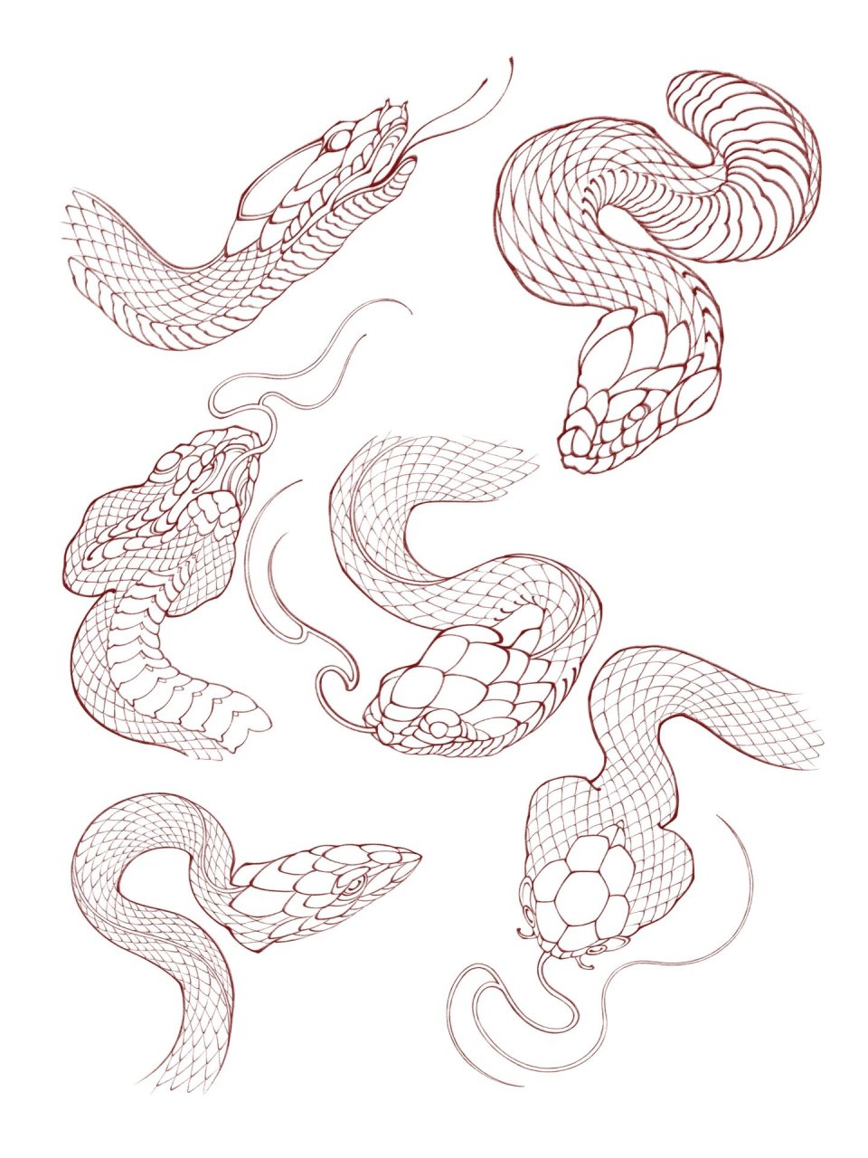 新传统纹身教程 蛇头合集 新传统风格纹身 新传统蛇头合集 点赞收藏加