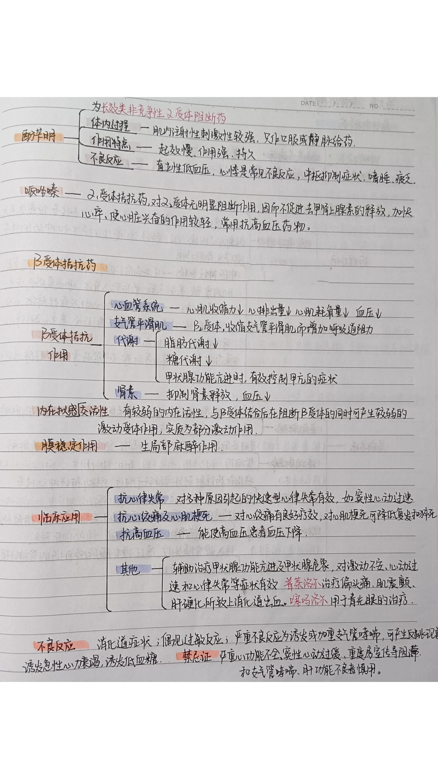 去甲肾上腺素思维导图图片