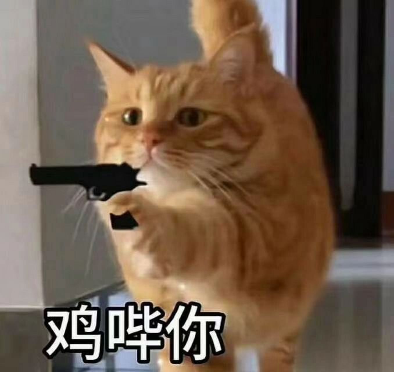 鸡哔你表情包 鸡哔你