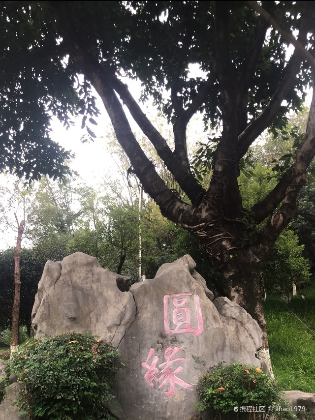 九龙坡区攻略|打卡重庆九龙坡半山公园