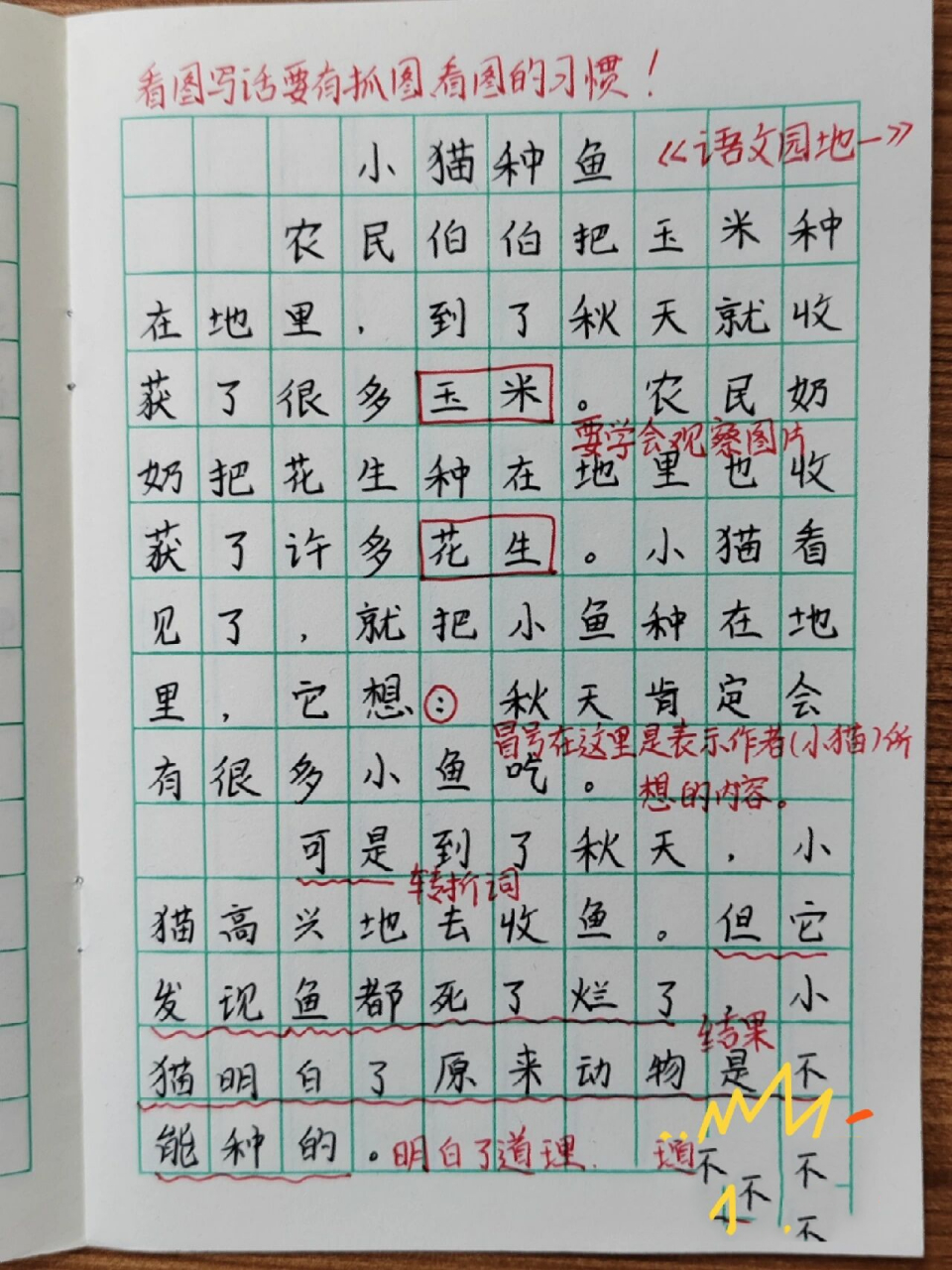 一年级语文下册《小猫种鱼》看图写话7199 看图写话要有抓图看图