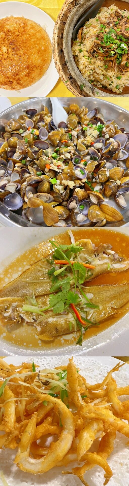 9899红色景点 | 顺德甘竹滩电站     跟着导航到达景区,景区里面