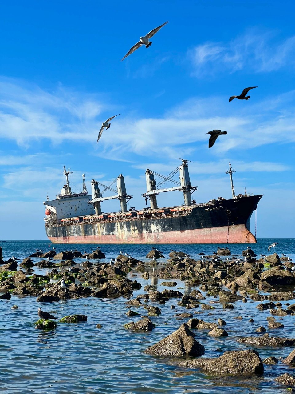 威海|08搁浅巨轮布鲁威斯号& 96粉红沙滩 搁浅的巨轮,听说之后要