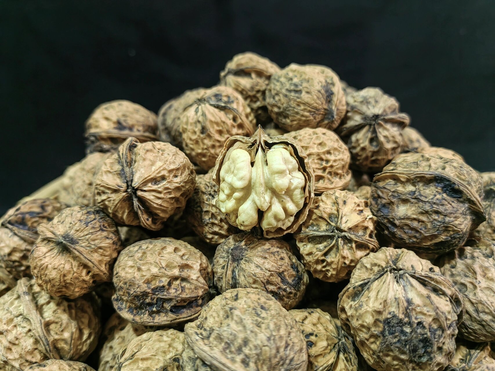 我家的野生老树山核桃