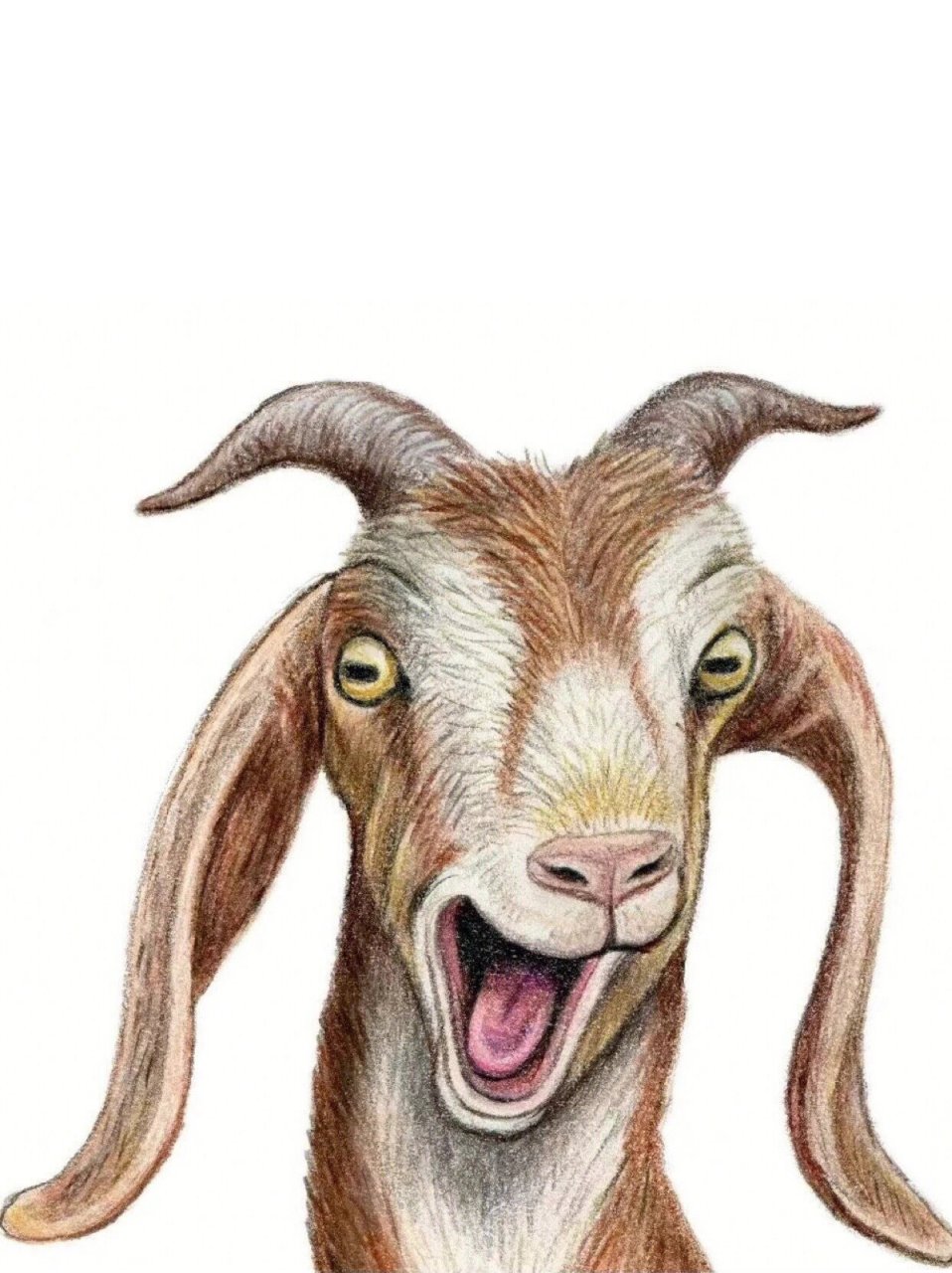 绘画素材|彩铅动物图案集合