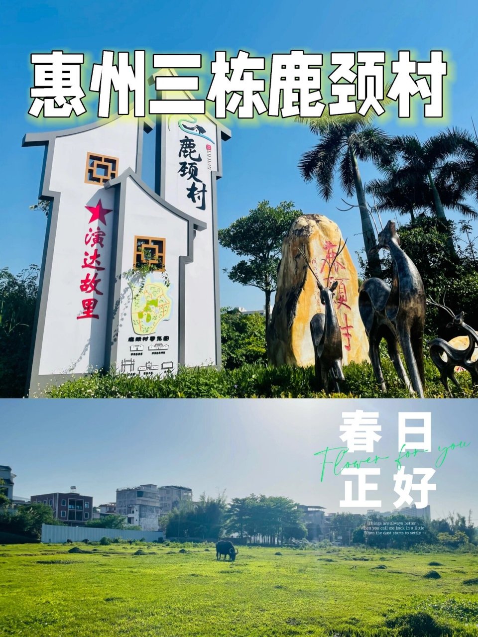 第一站选择了惠州入选广东十大美丽乡村的村子:鹿颈村.