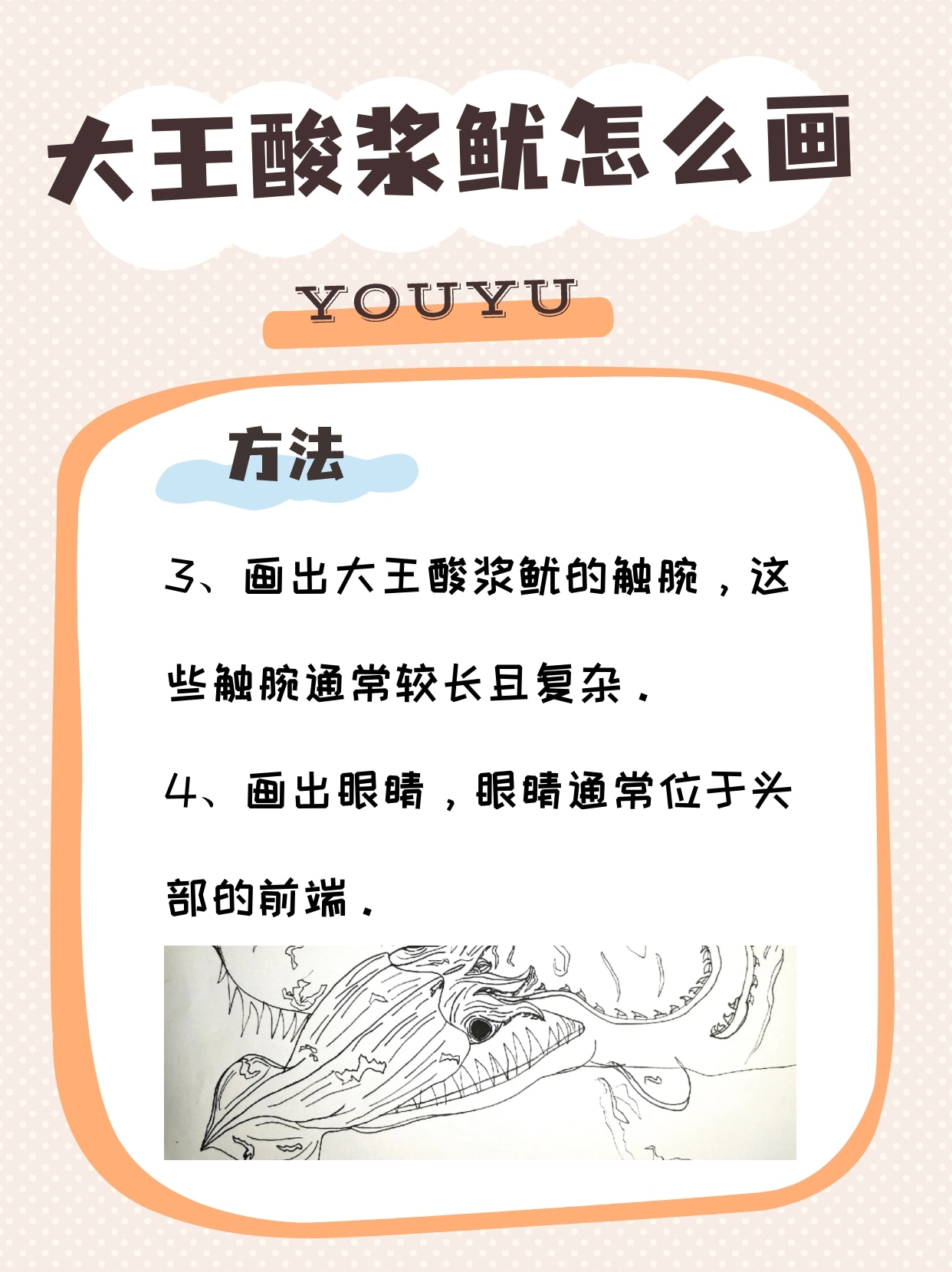 大王酸浆鱿怎么画