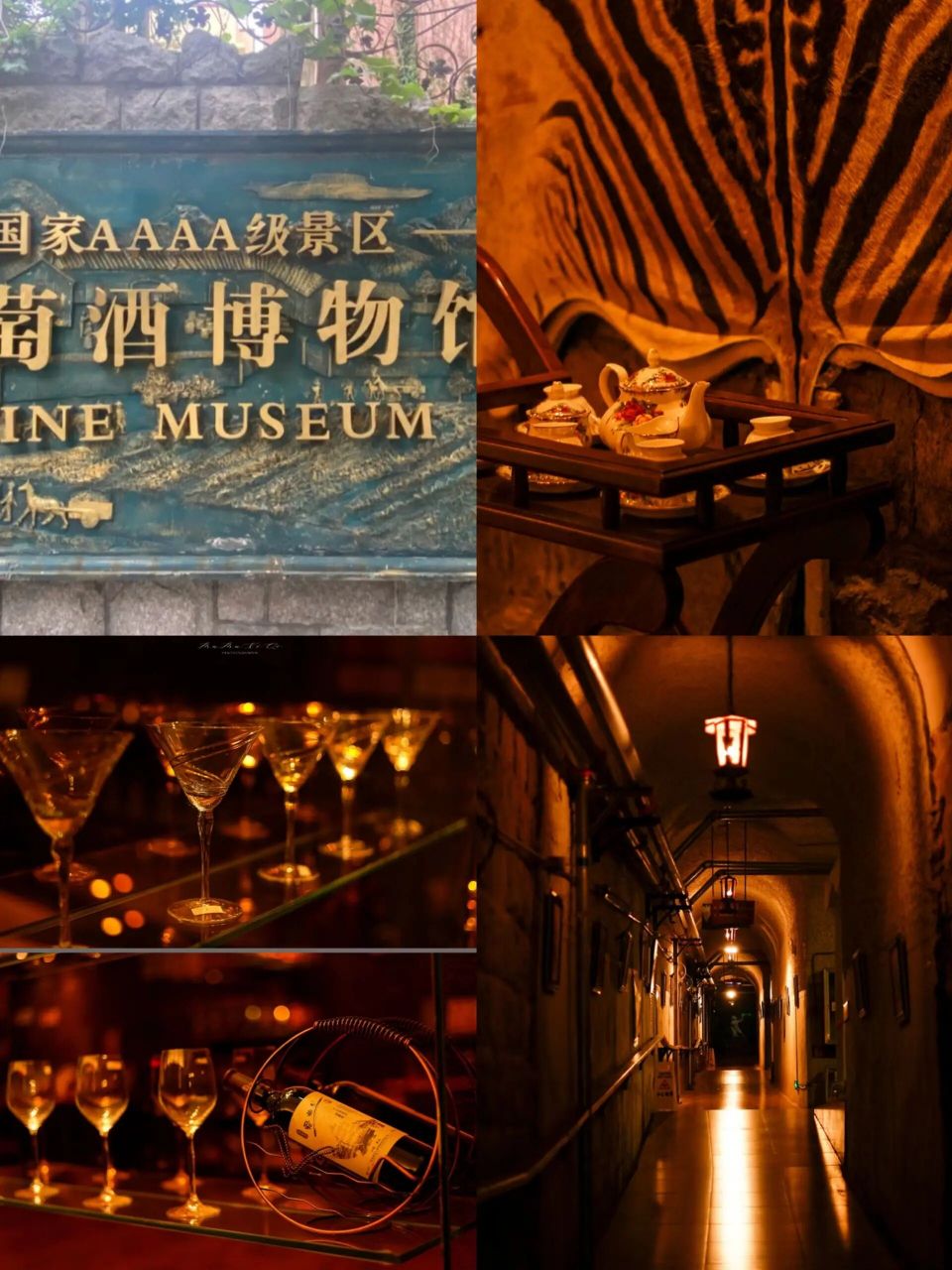 青岛葡萄酒博物馆 免门票 防空洞 以葡萄酒为主题的地下博物馆,由