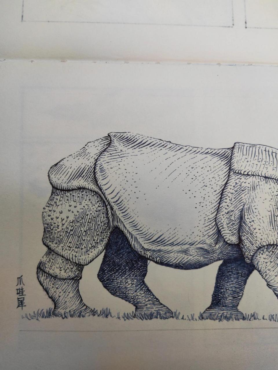 【钢笔画】爪哇犀 犀牛画法