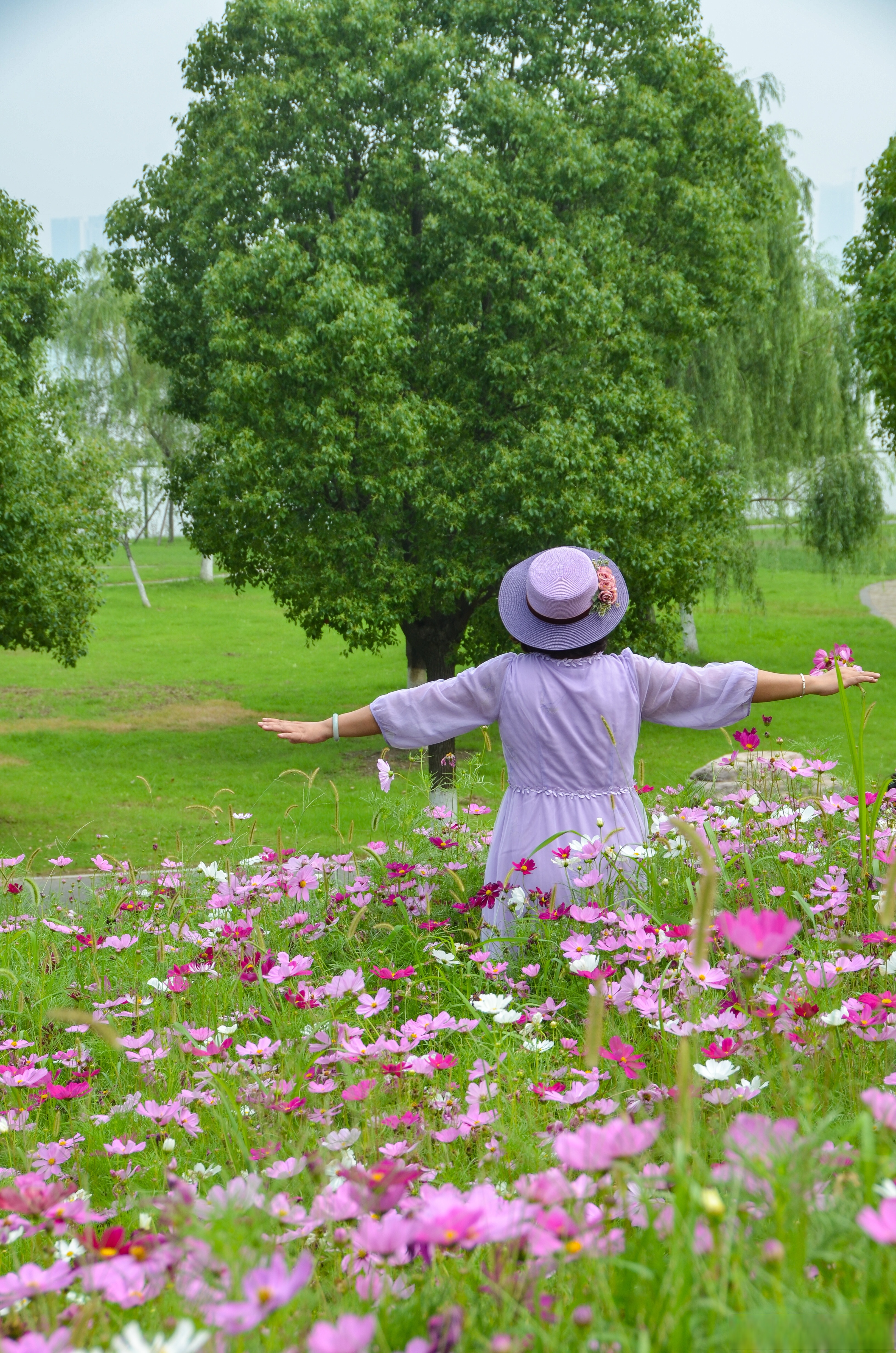 半人高的花丛开得正盛,不仅适合近距离与花朵互动,更是拍摄人像的绝佳