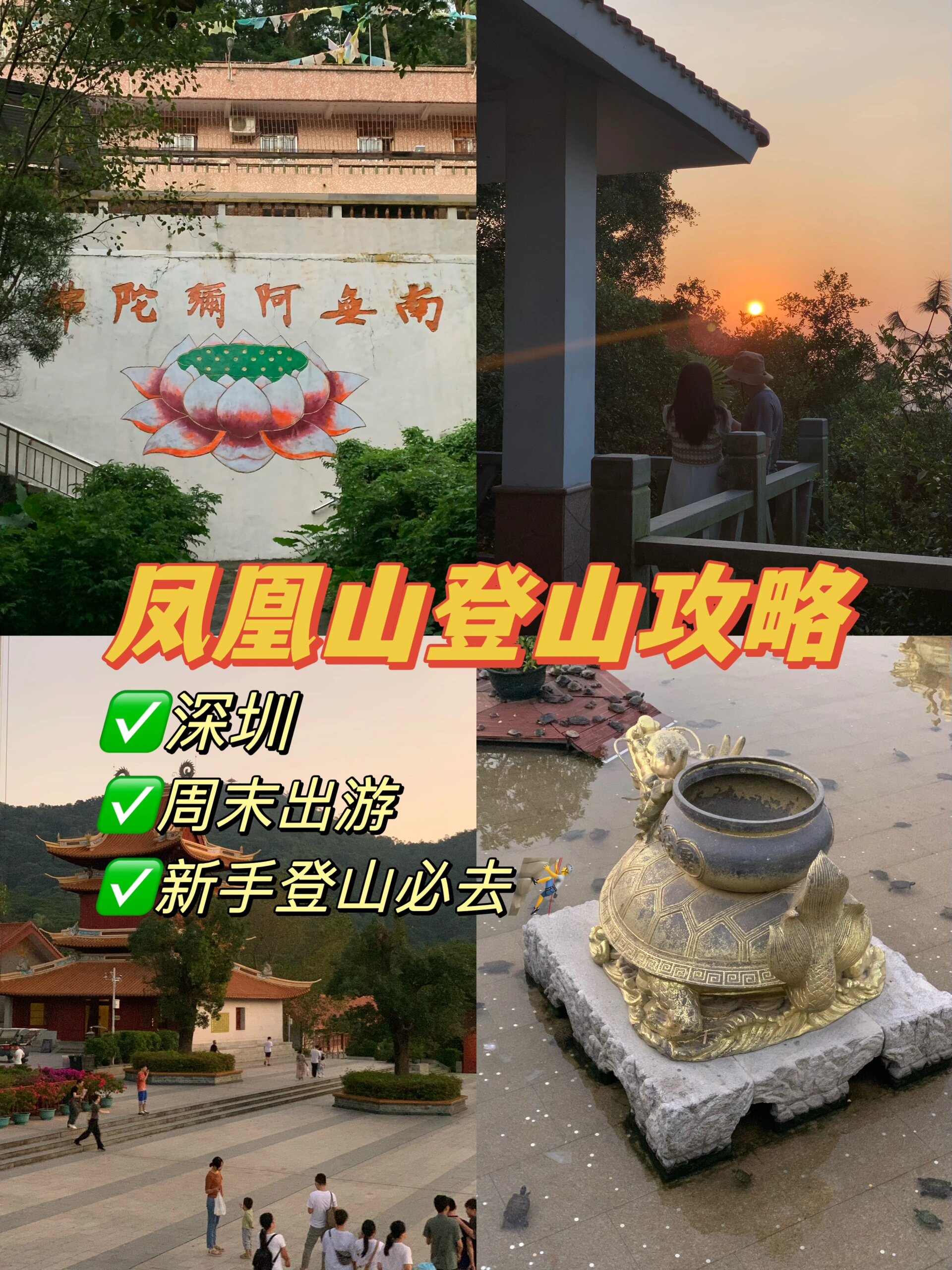 9015深圳周末出游|凤凰山宝安区爬山攻略09