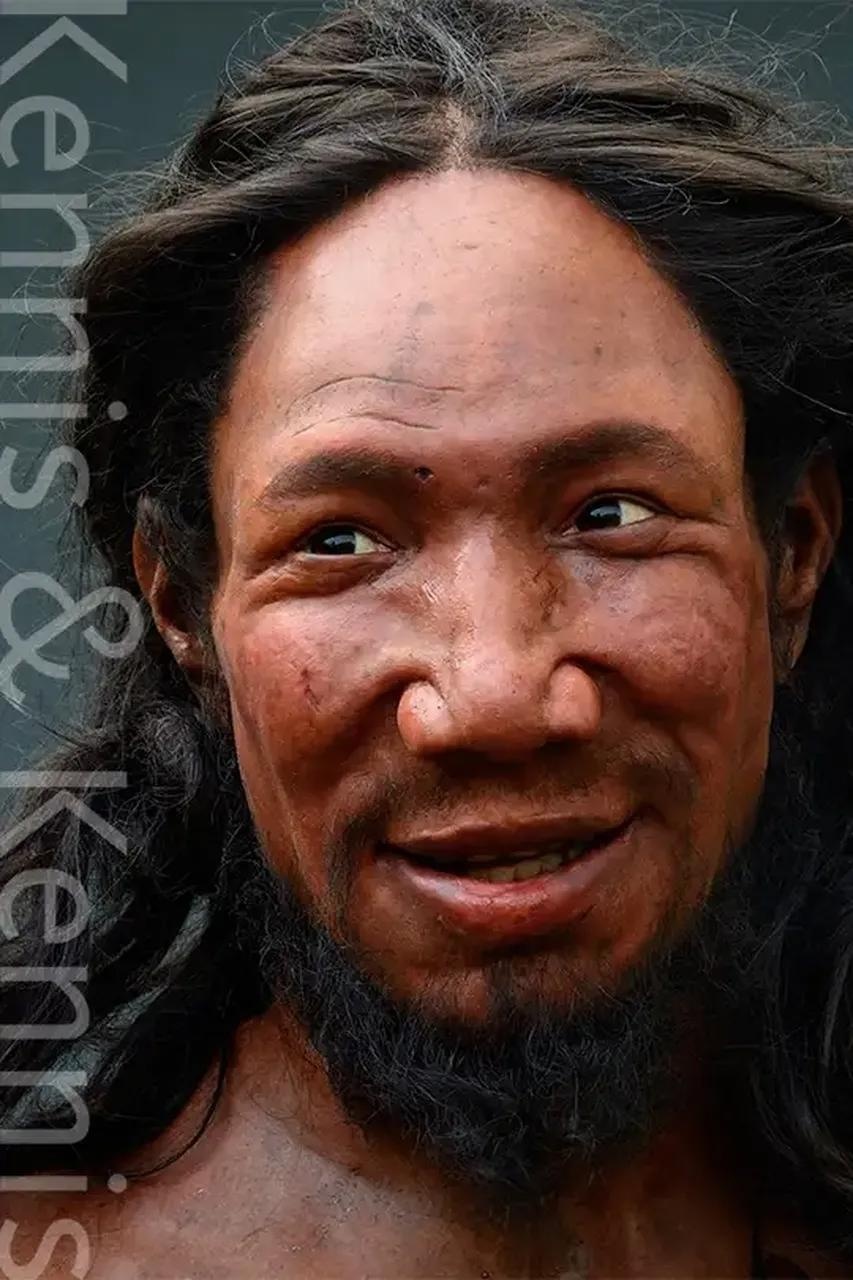 —基因交融,灭绝之谜与人类进化的新启示尼安德塔人