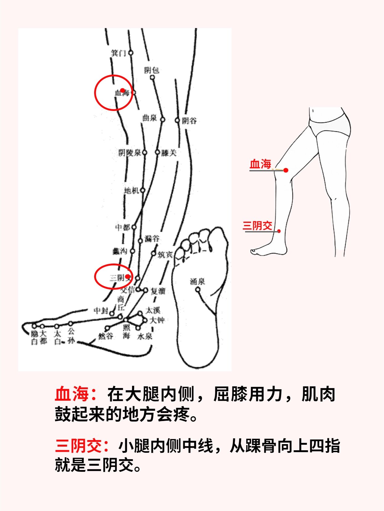 养生穴位