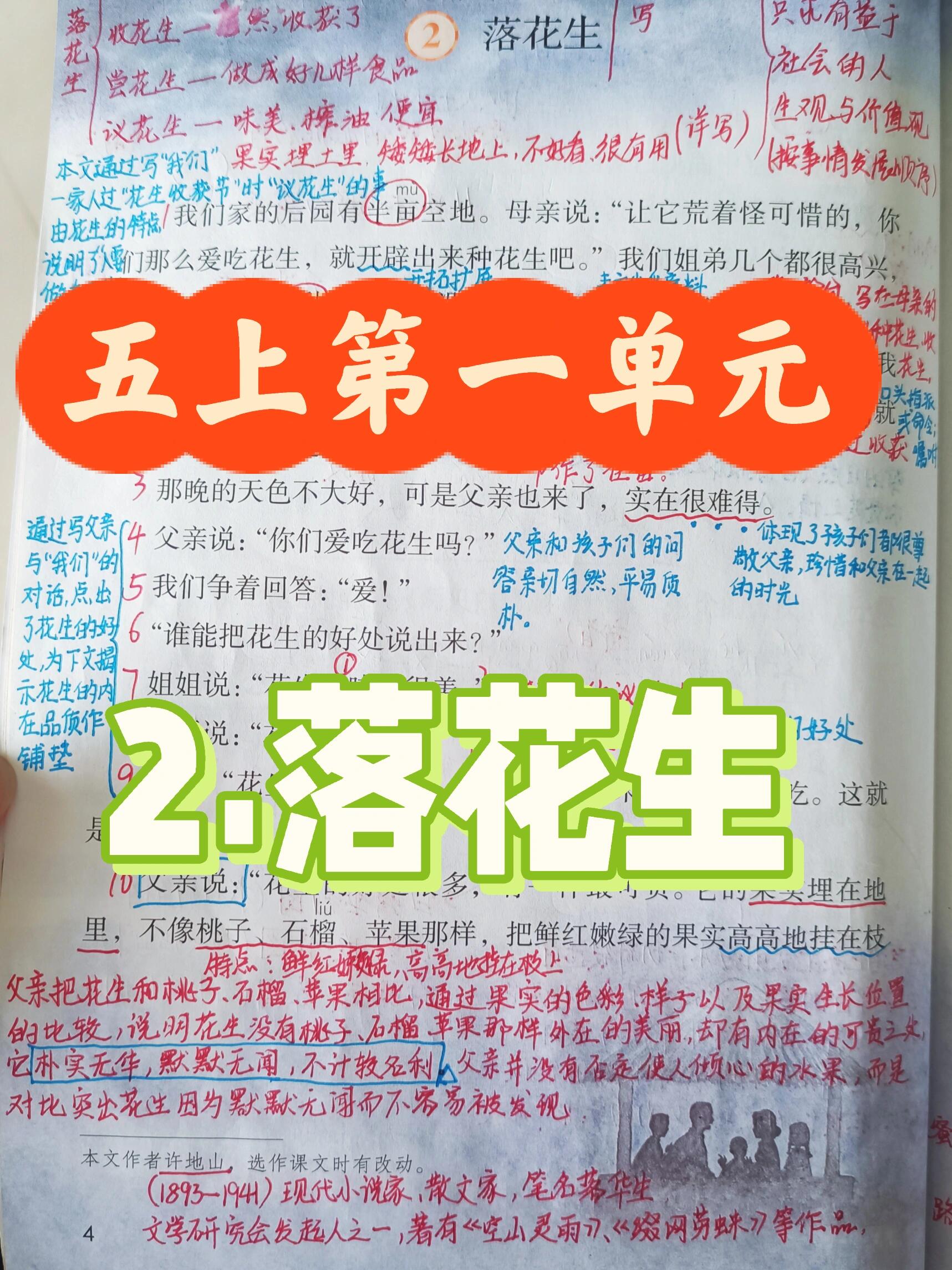 落花生课堂笔记照片图片