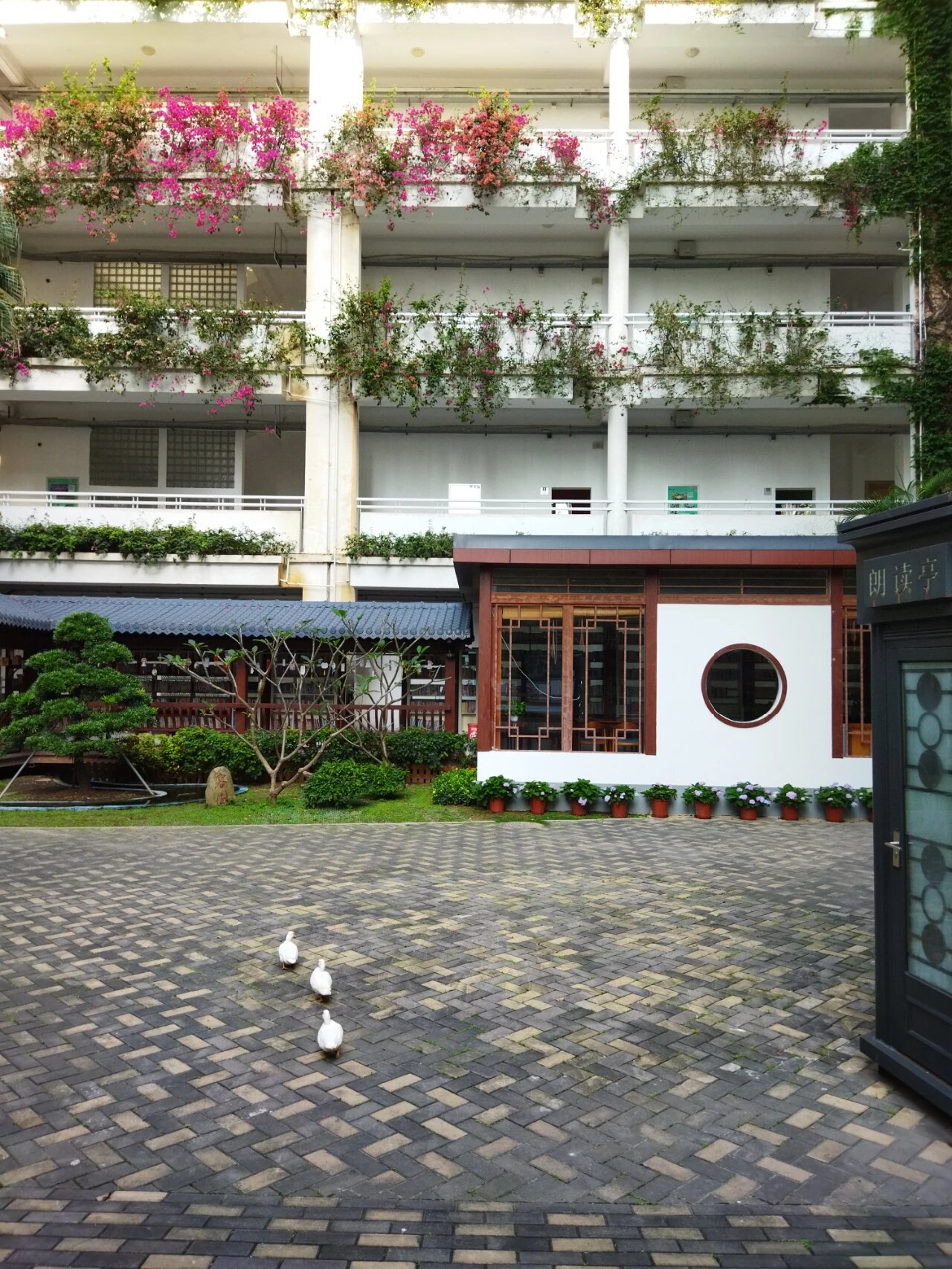 深圳的学府中学太美了