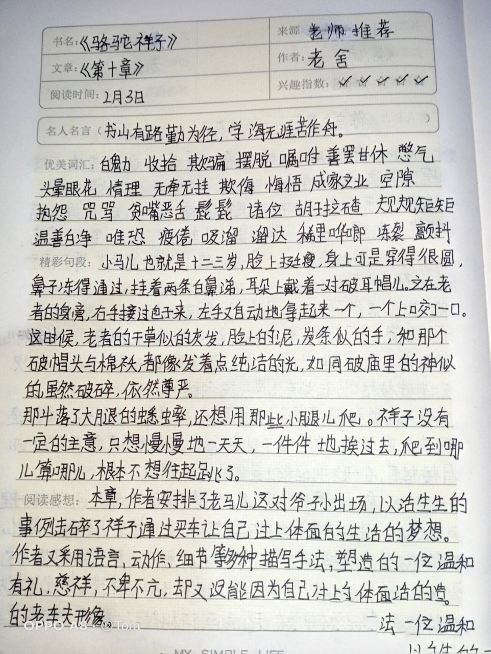 初一必读《骆驼祥子》读书笔记  最近在提高写字速度,字有点乱哈  勿