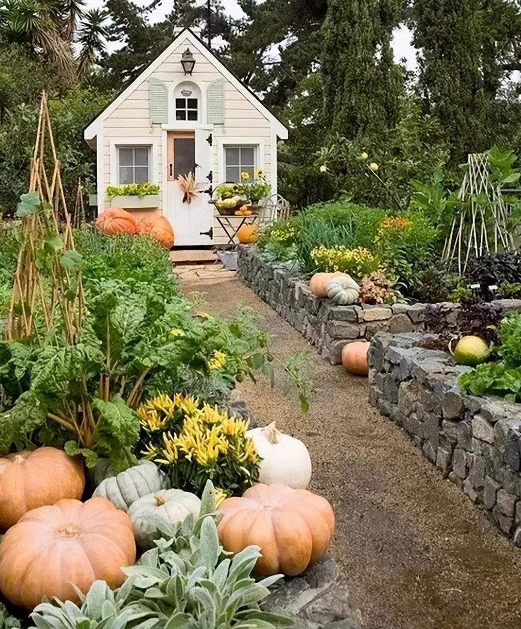网上看到这个乡下别墅和美丽的菜园,我问老婆:"当孩子们都长大了,你