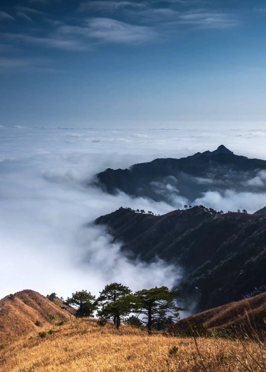 组队|这个深秋,一起去看看金色武功山吧! 11.3-11.5,周五下班深圳出发