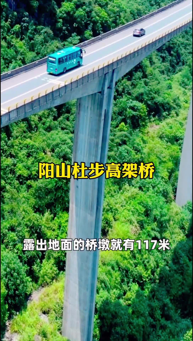 广东周边游_旅游|阳山杜步高架桥