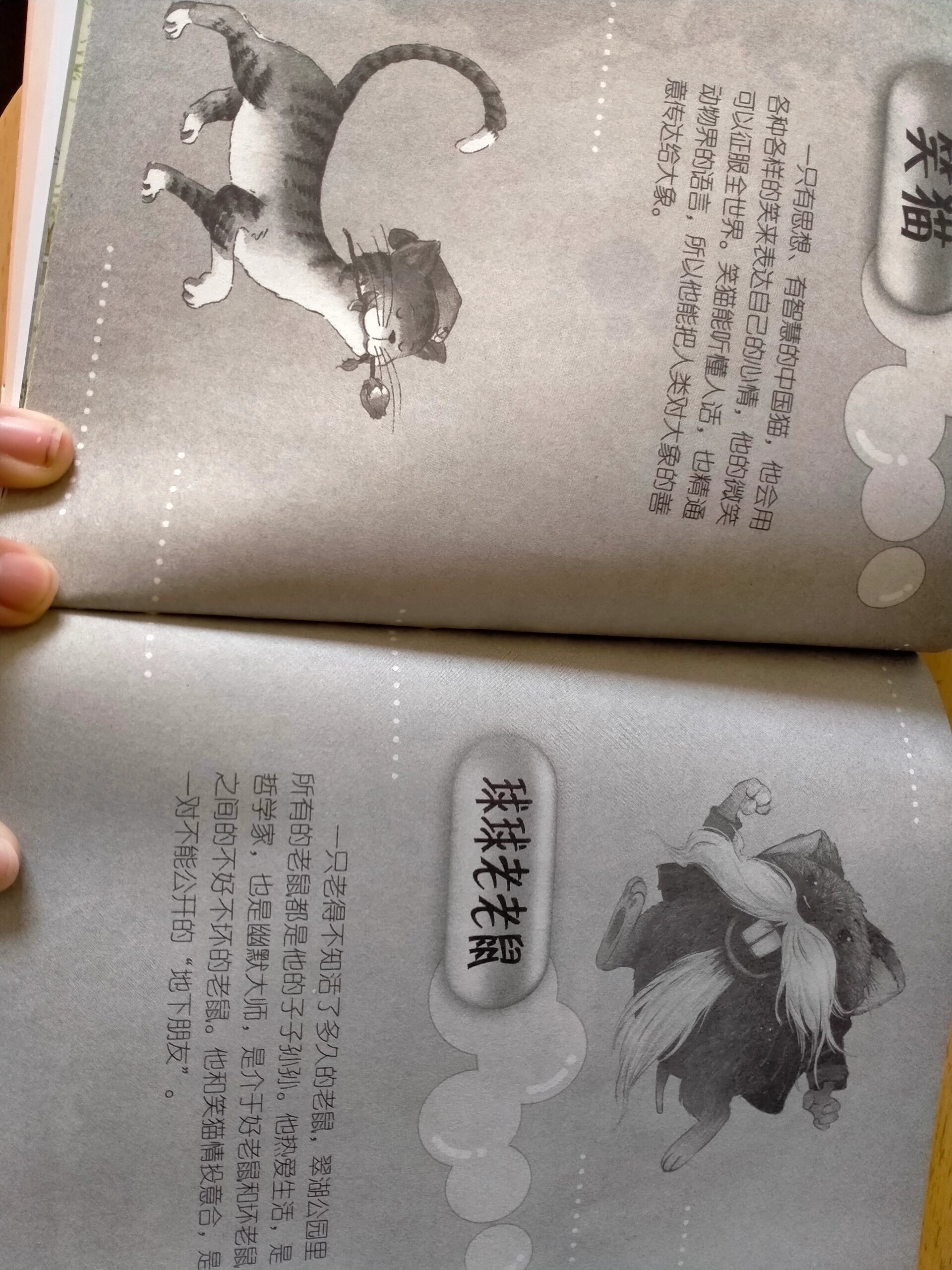 《笑猫日记》28人物介绍