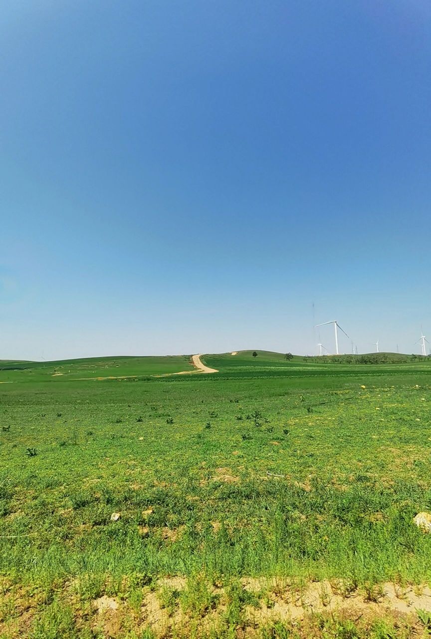 康保草原天际线 康保县,周边都是这样的风景,温度最高时也就30来度