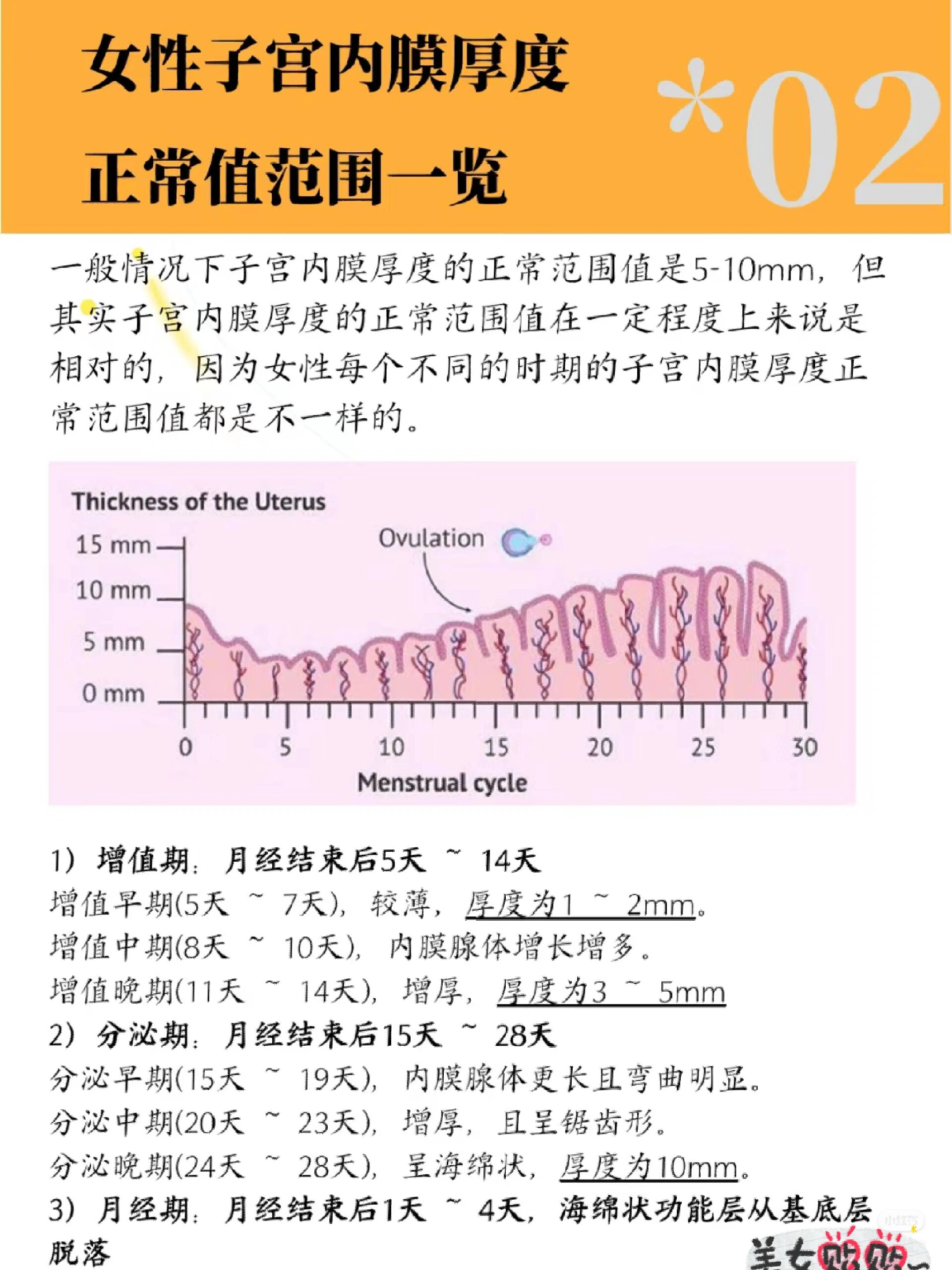 子宫内膜厚度正常值范围一览 1 增值期 月经结束后5天～14天 增值