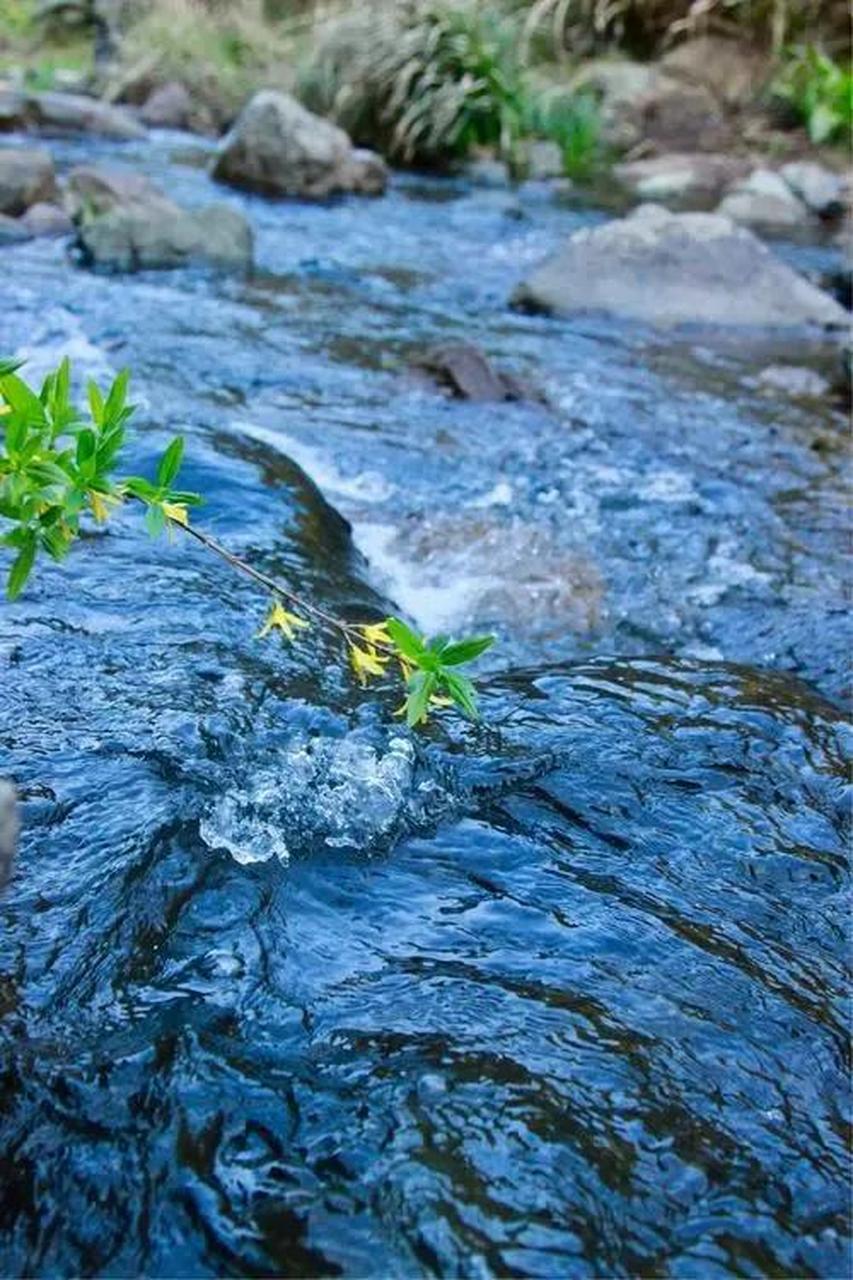 春日生活打卡季春水潺潺,清澈如镜, 流淌着春天的温柔