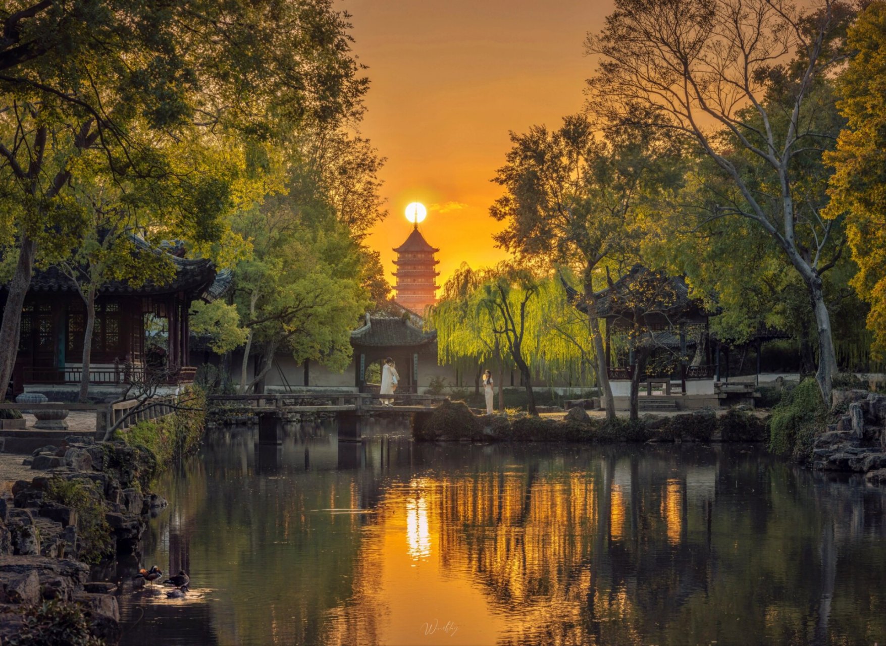日落拙政园北寺塔 拍摄时间:2022年10月18日 拍摄主体:苏州拙政园,北