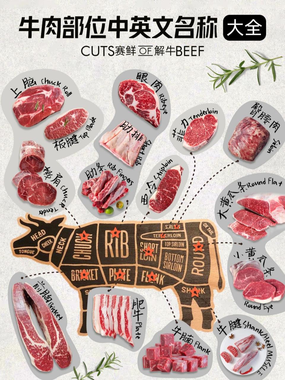 【下期】不同牛肉部位对应的烹饪方式 - 全牛部位【中英文名称】