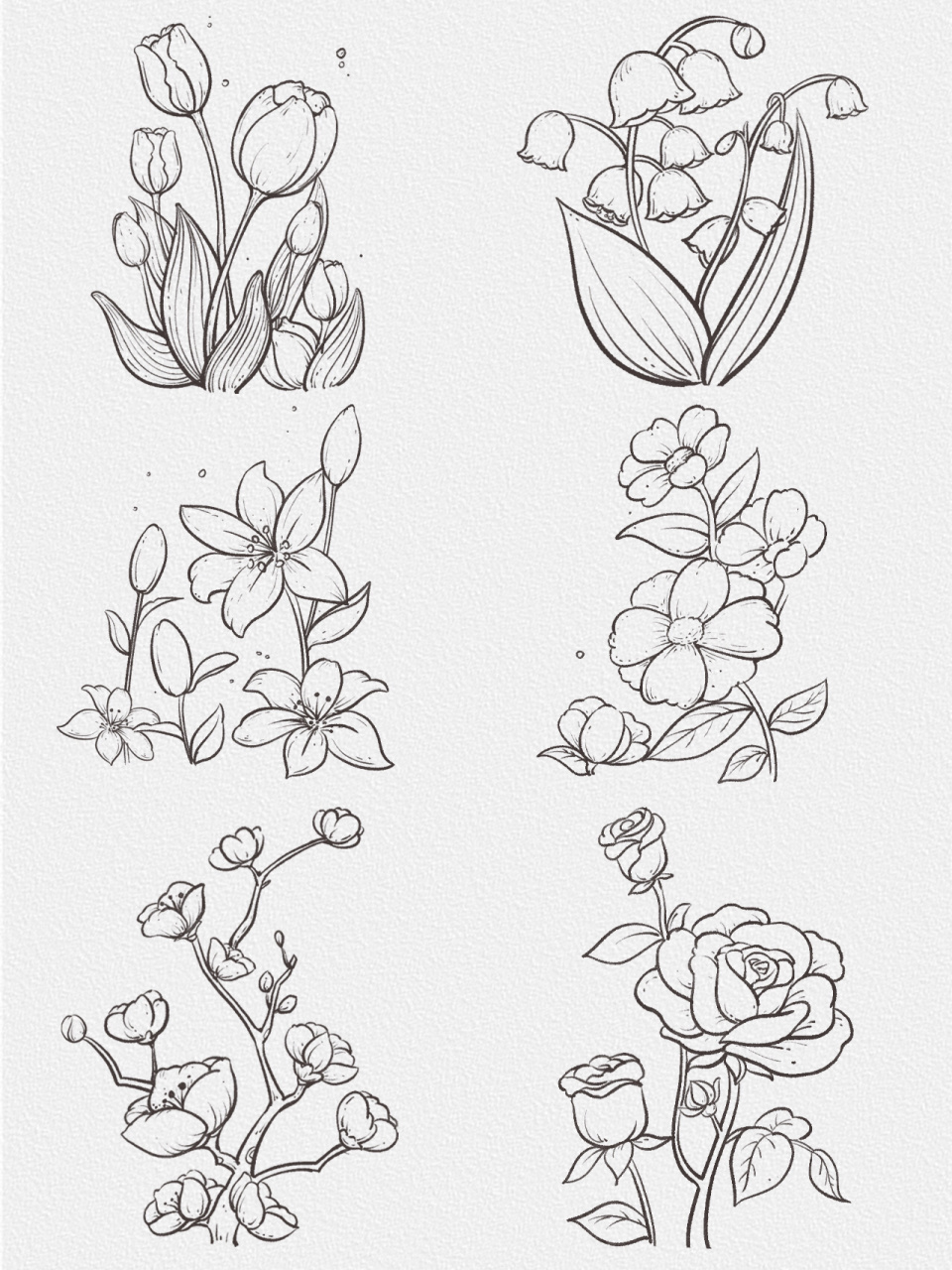 画画日常 | 第二波花卉线稿合集94 解锁了郁金香72 | 铃兰72