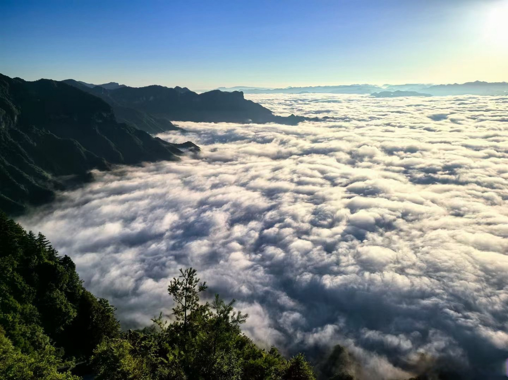 龙神阁日出云海# 龙神阁位于四川省广元市朝天区曾家山鸳鸯池森林