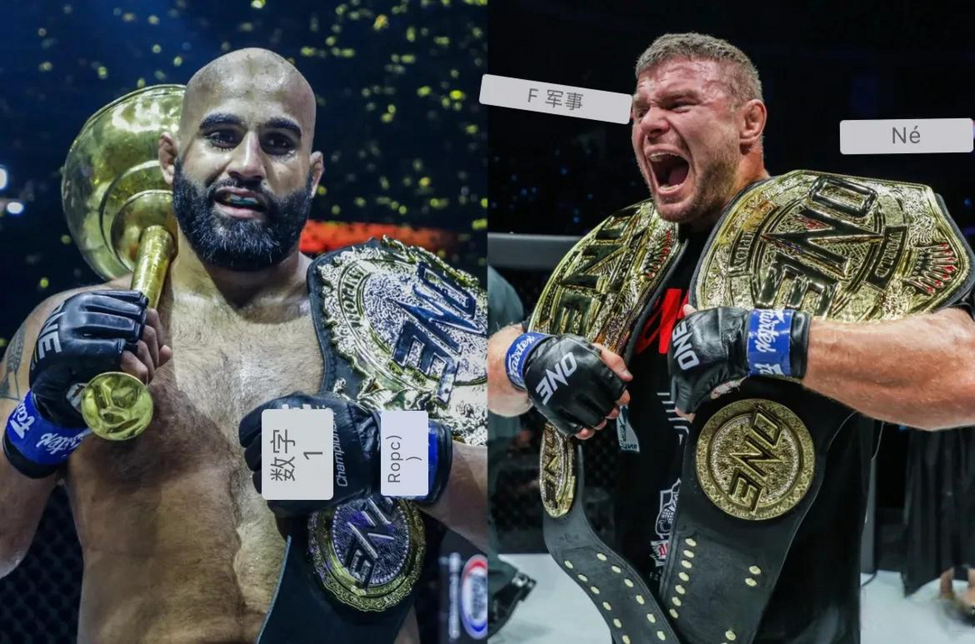 one冠军赛 拥有one冠军赛轻重量级金腰带和重量级临时金腰带的阿纳