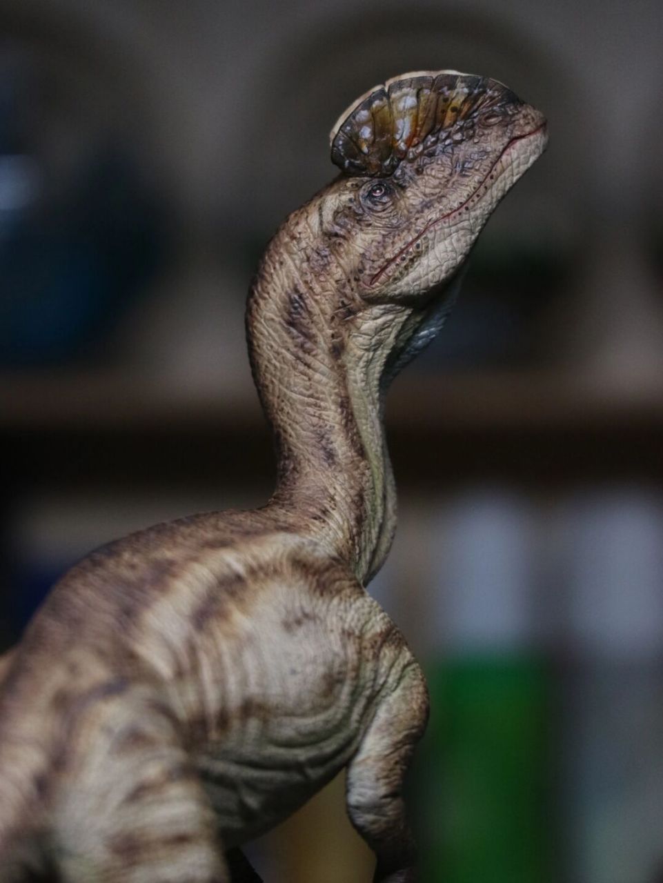 恐龙gk涂装的主次 像这种带有头冠的恐龙,那么涂装它的重点一定就是它