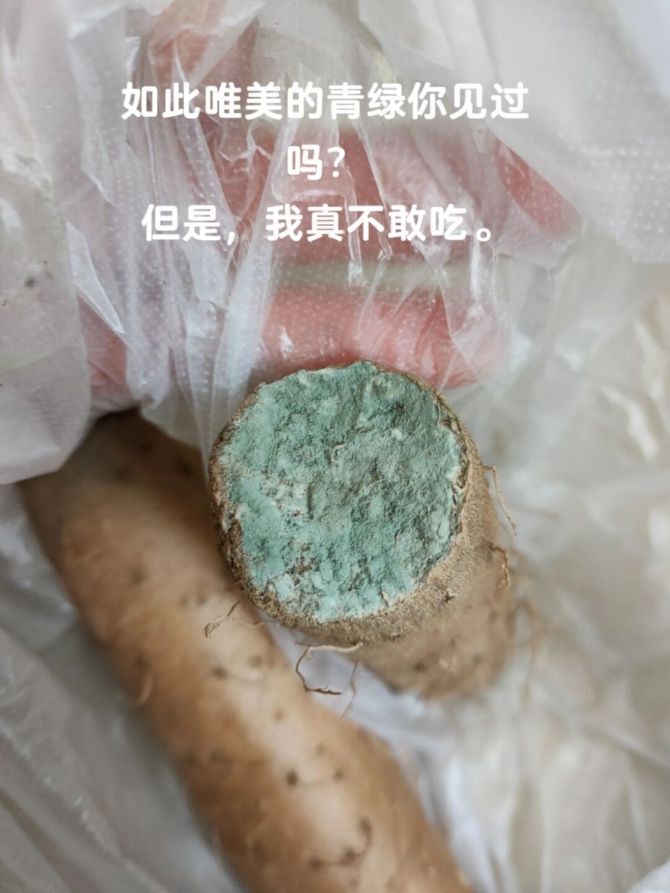 但是,吃的时候我胆怯了 山药发霉了还能吃好么#山药# #笔记灵感