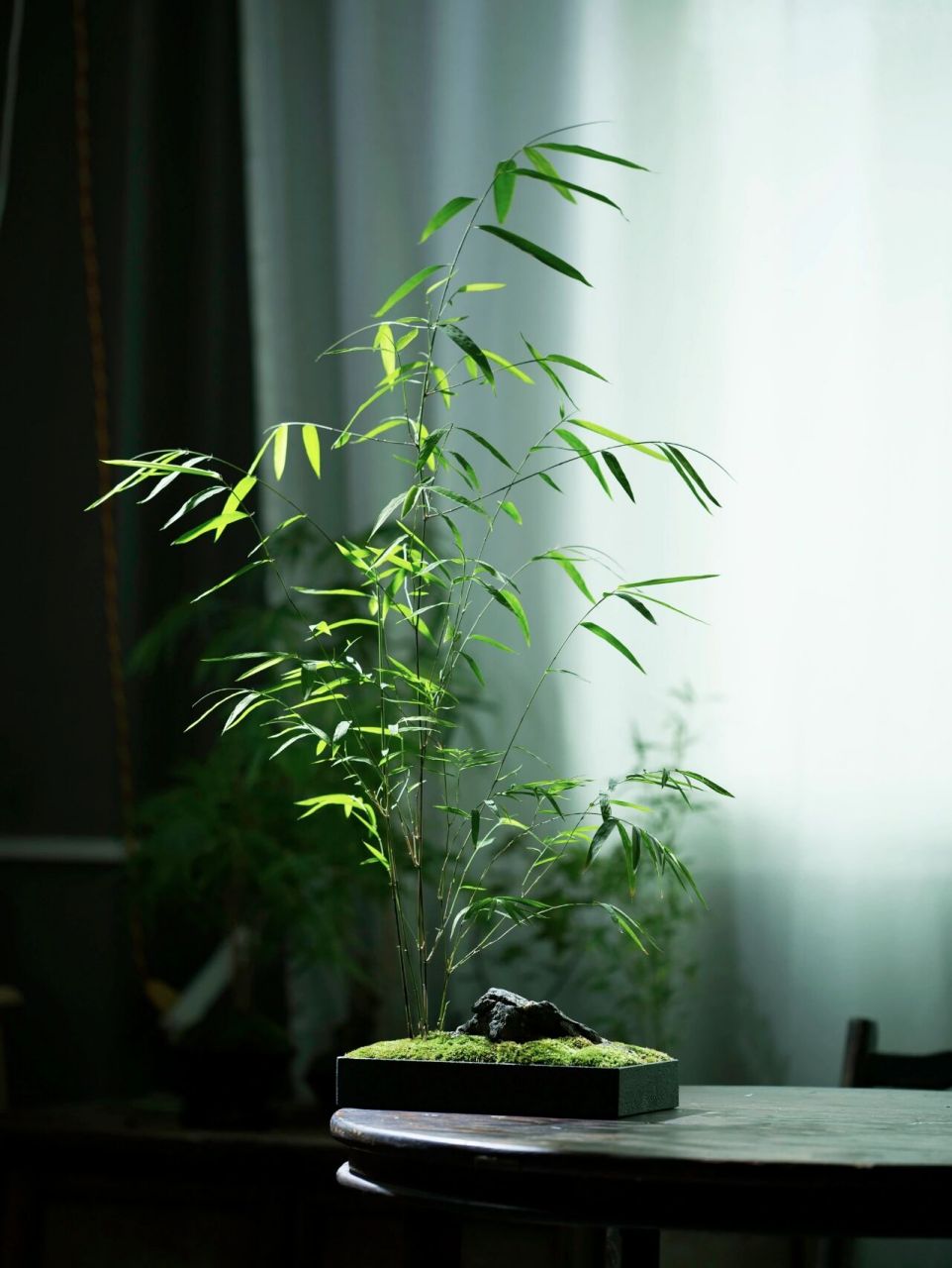 喜欢或者想了解更多详情的可敲后台留言.