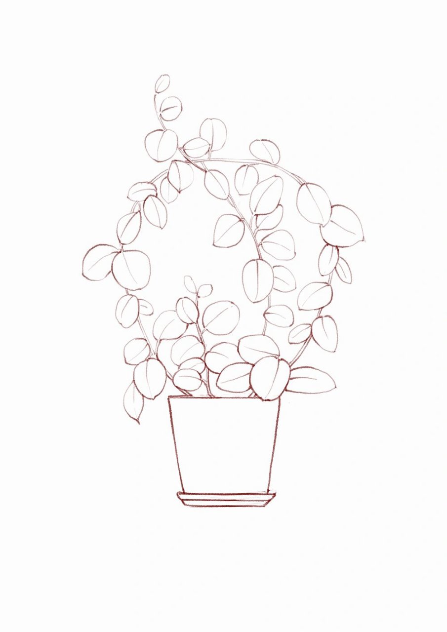 盆栽线稿 一组小盆栽线