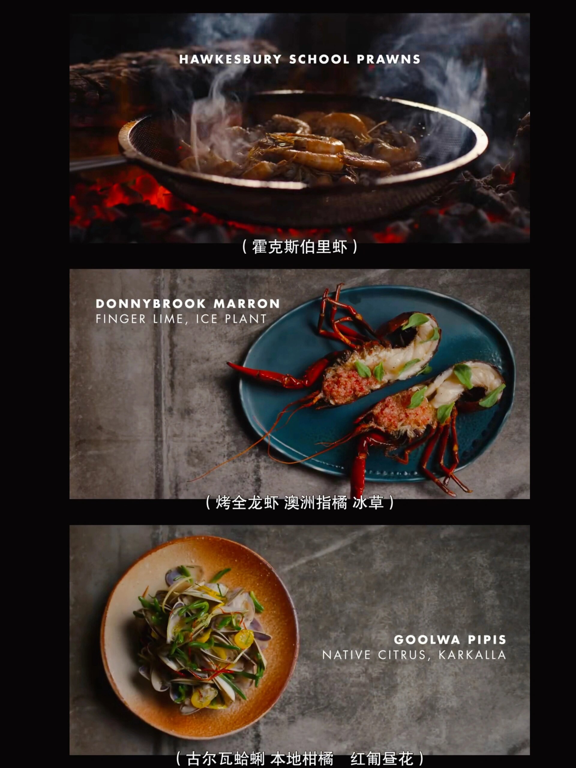 91悉尼美食推荐 | 让你一口吃到澳洲味道