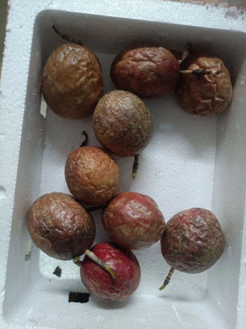 求助贴,百香果好坏?