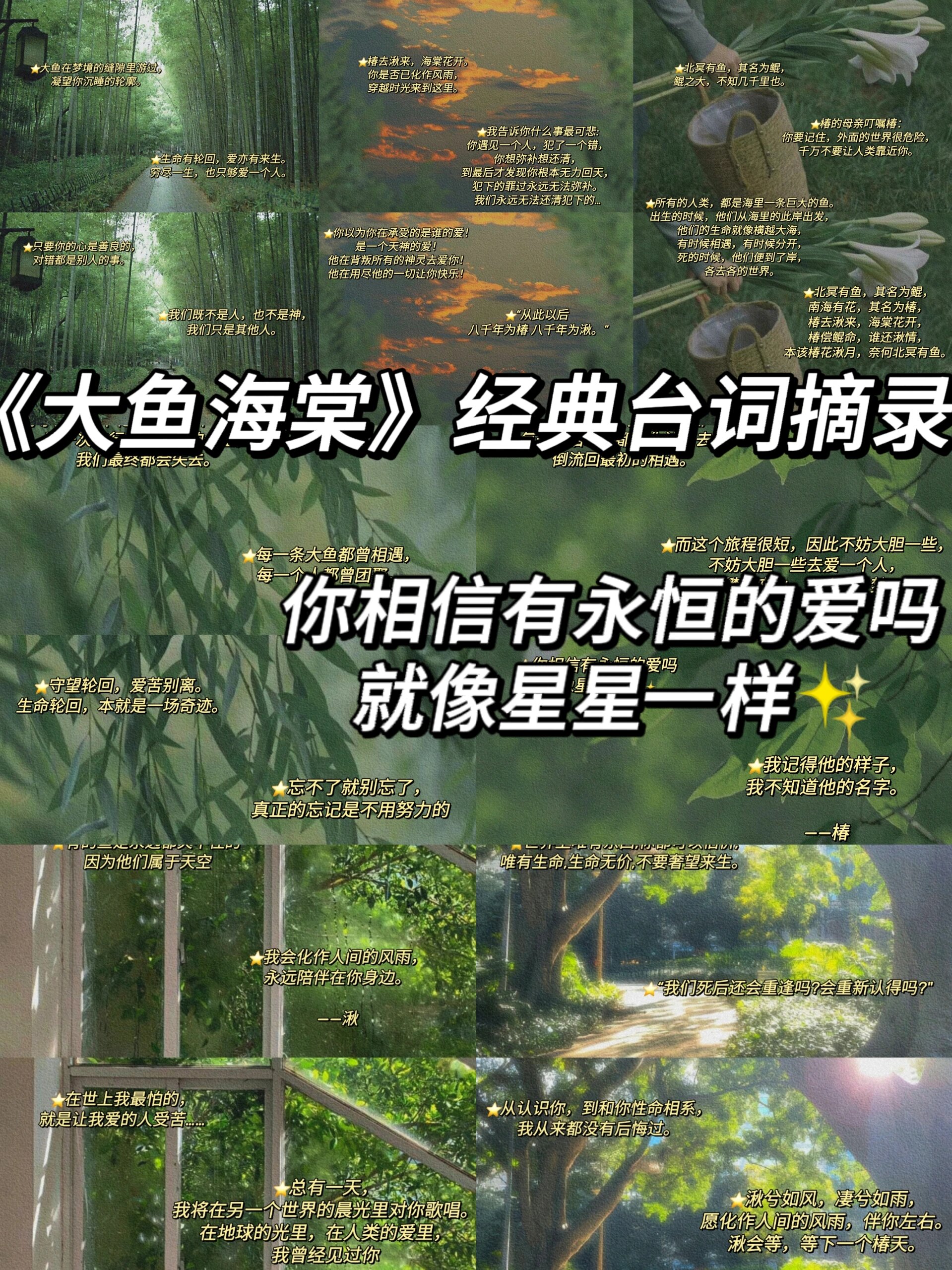 97《大鱼海棠》经典台词摘录