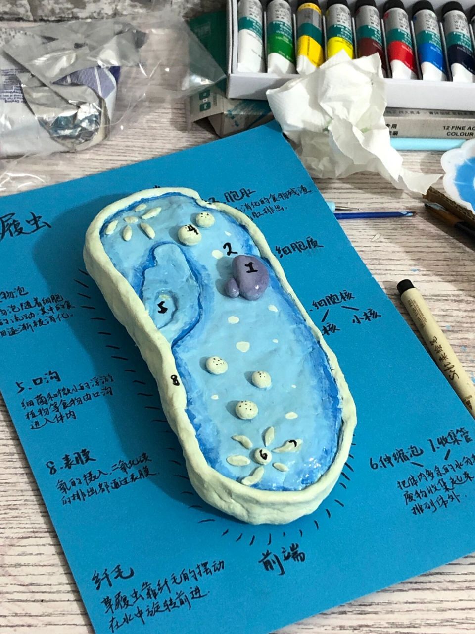 做个草履虫02 第一次做石塑粘土 感觉还行02